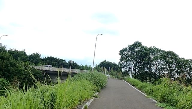 道場橋