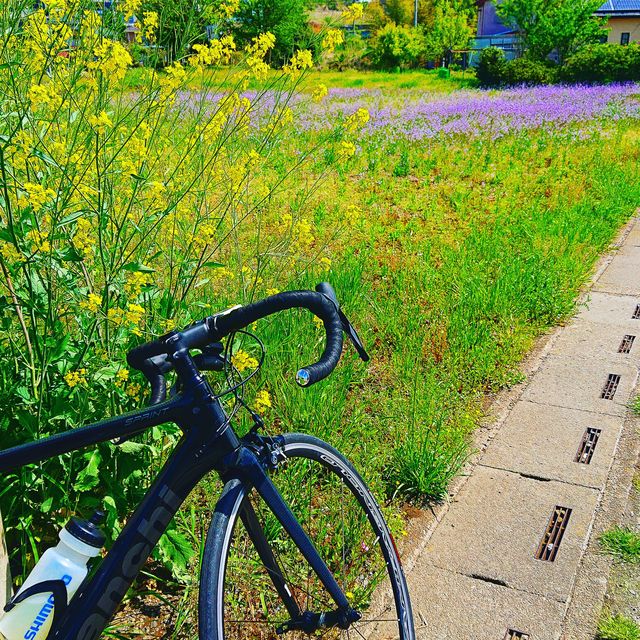 ゾンダヒルクライム