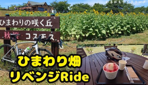 【ロードバイクサイクリング】荒サイでヒマワリ畑めぐり・開花時期が違い過ぎる！