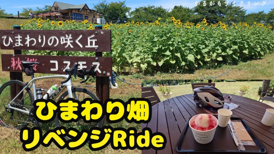 ひまわり畑