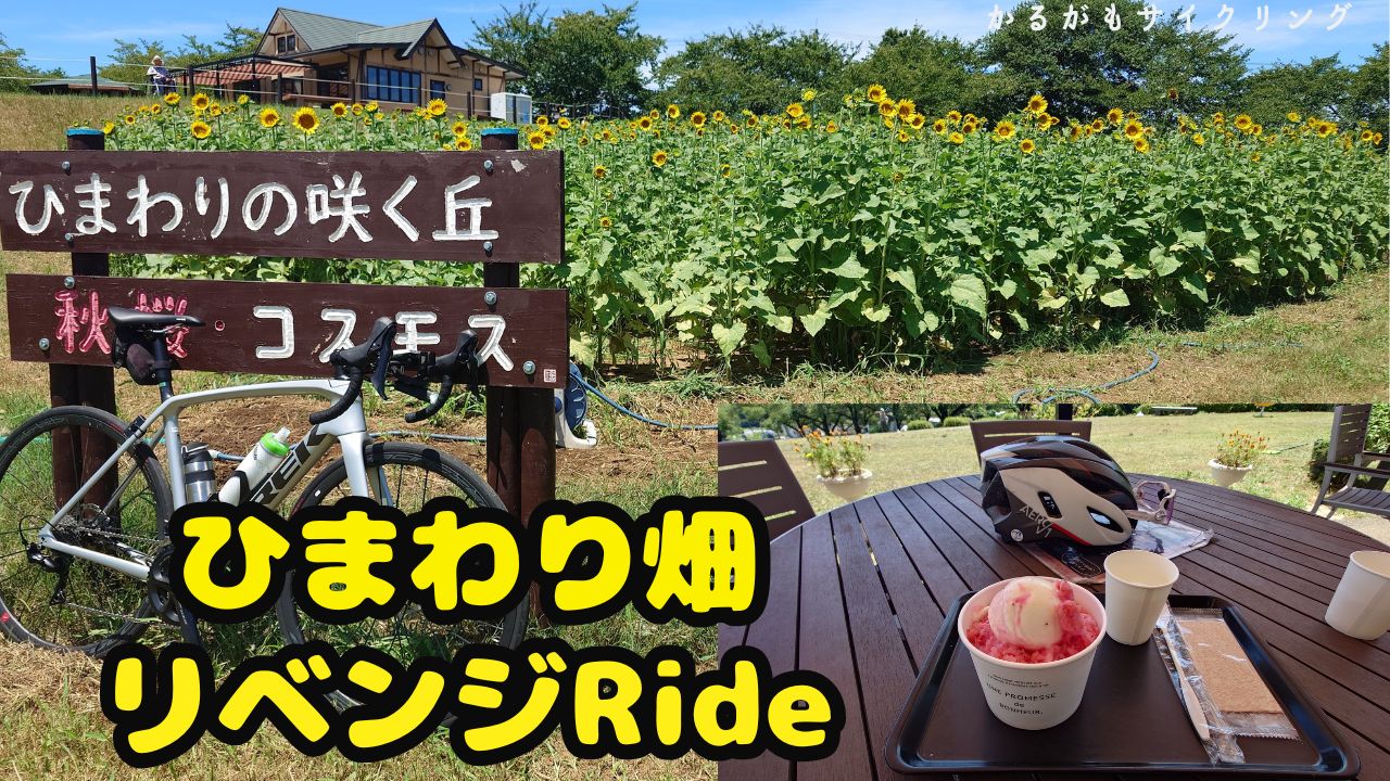 ロードバイクひまわり畑