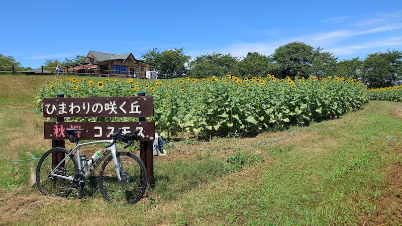 東松山市農林公園