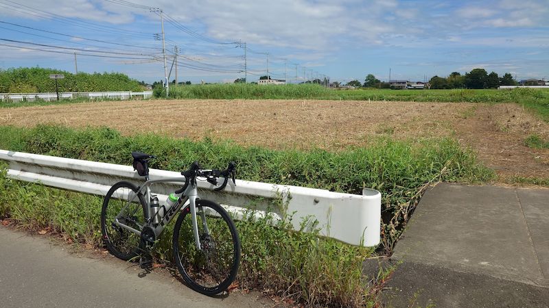 下八ツ林ひまわり畑