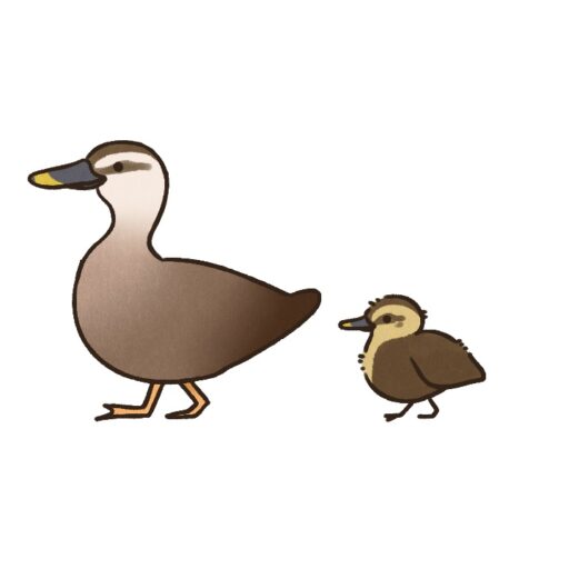 かるがもサイクリング