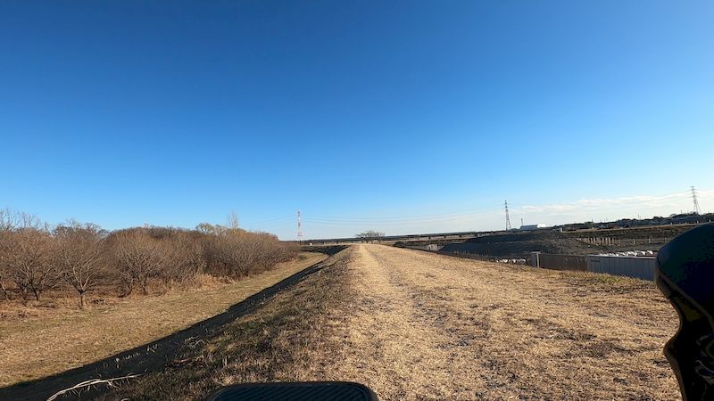 荒サイ白鳥飛来地