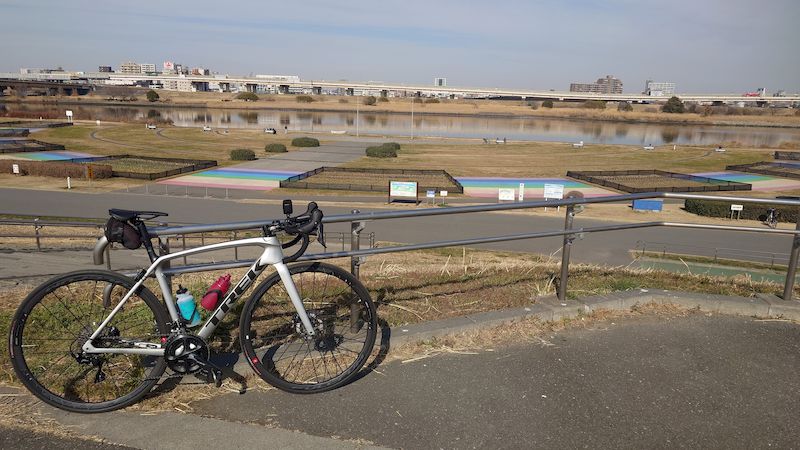 荒サイ攻略虹の広場